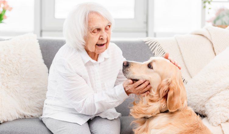 Assurance pour animaux de compagnie seniors