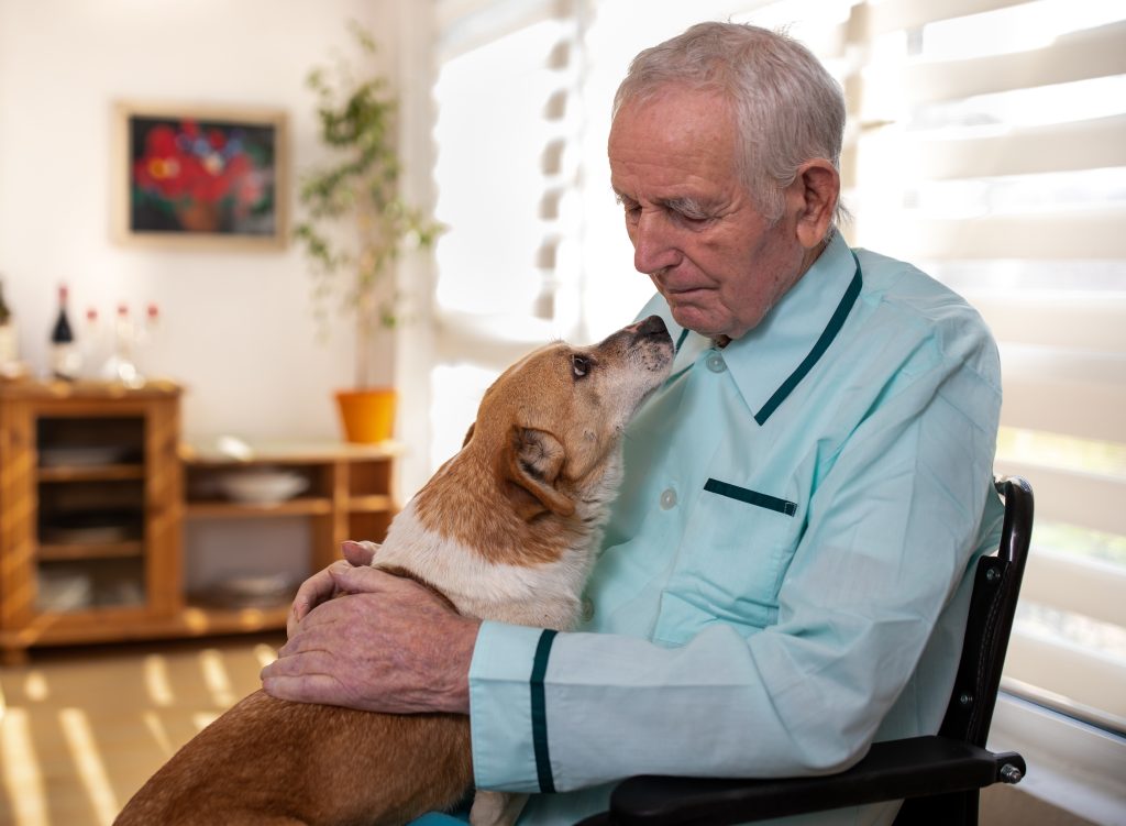 Chien avec un sénior